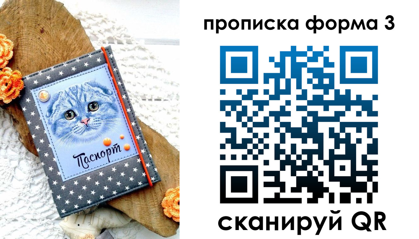 временная регистрация собственник в Скопине